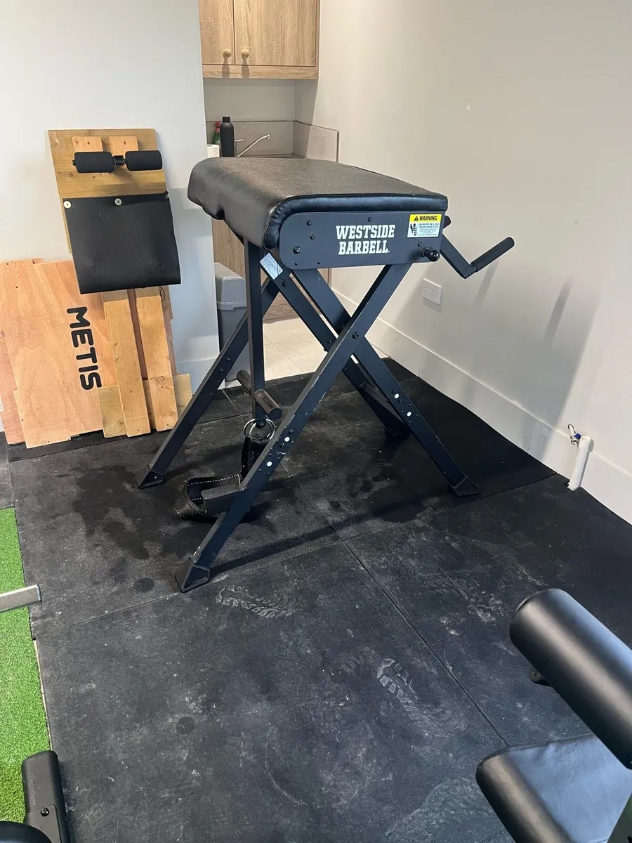 Reverse hyper - Image 2