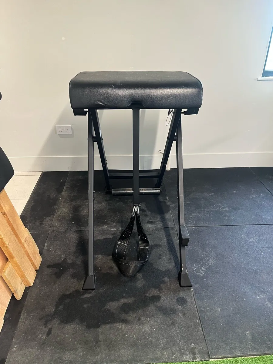 Reverse hyper - Image 3