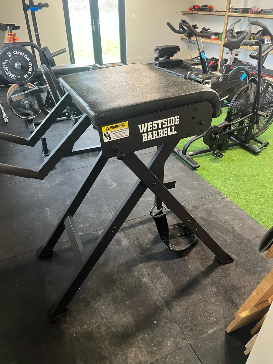 Reverse hyper - Image 1