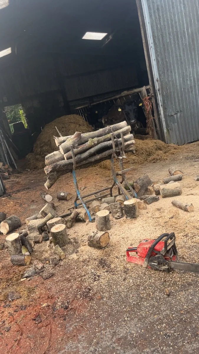 Timber cutting/ splitting - Image 2
