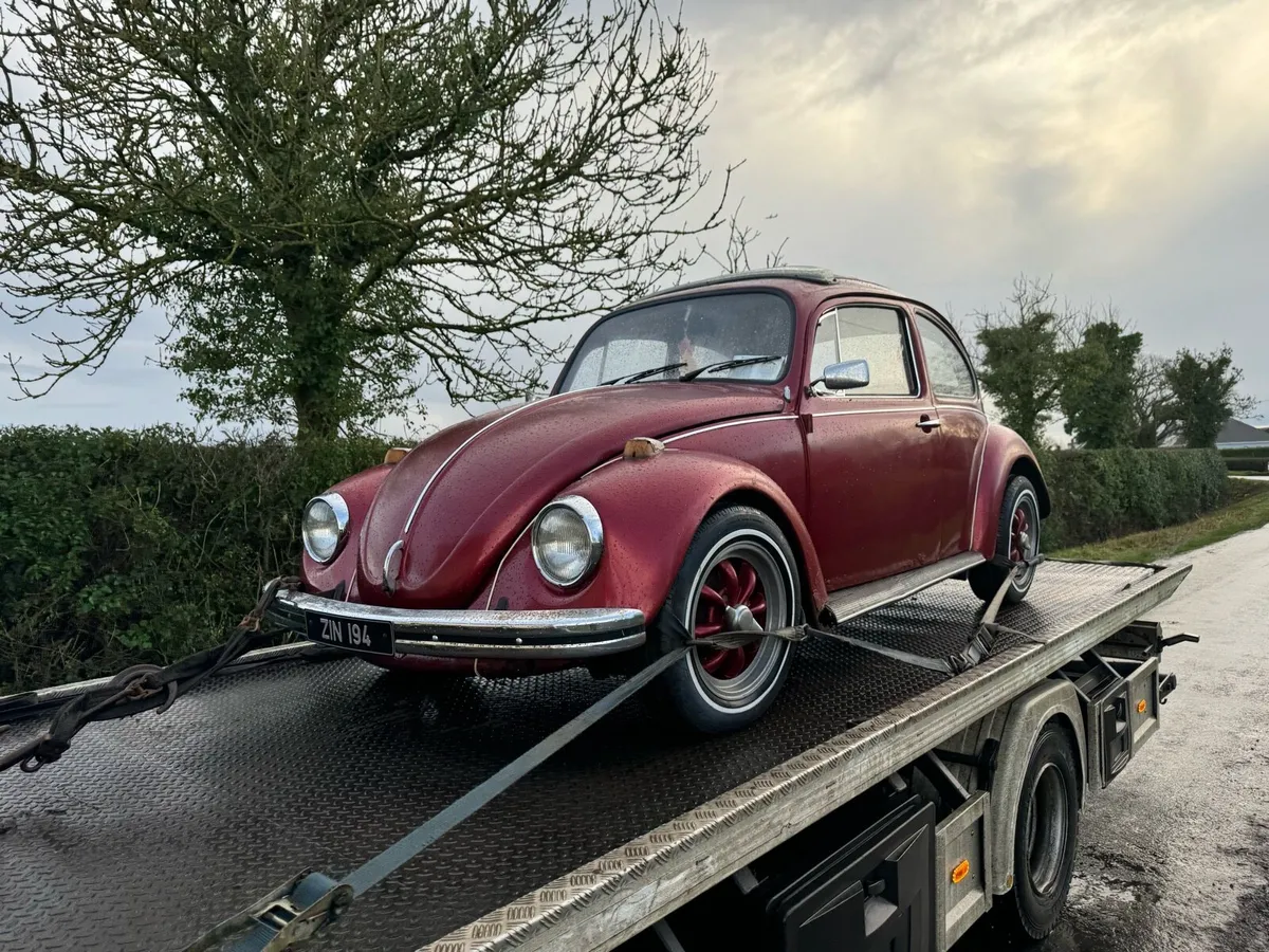 Volkswagen Beatle - Image 3