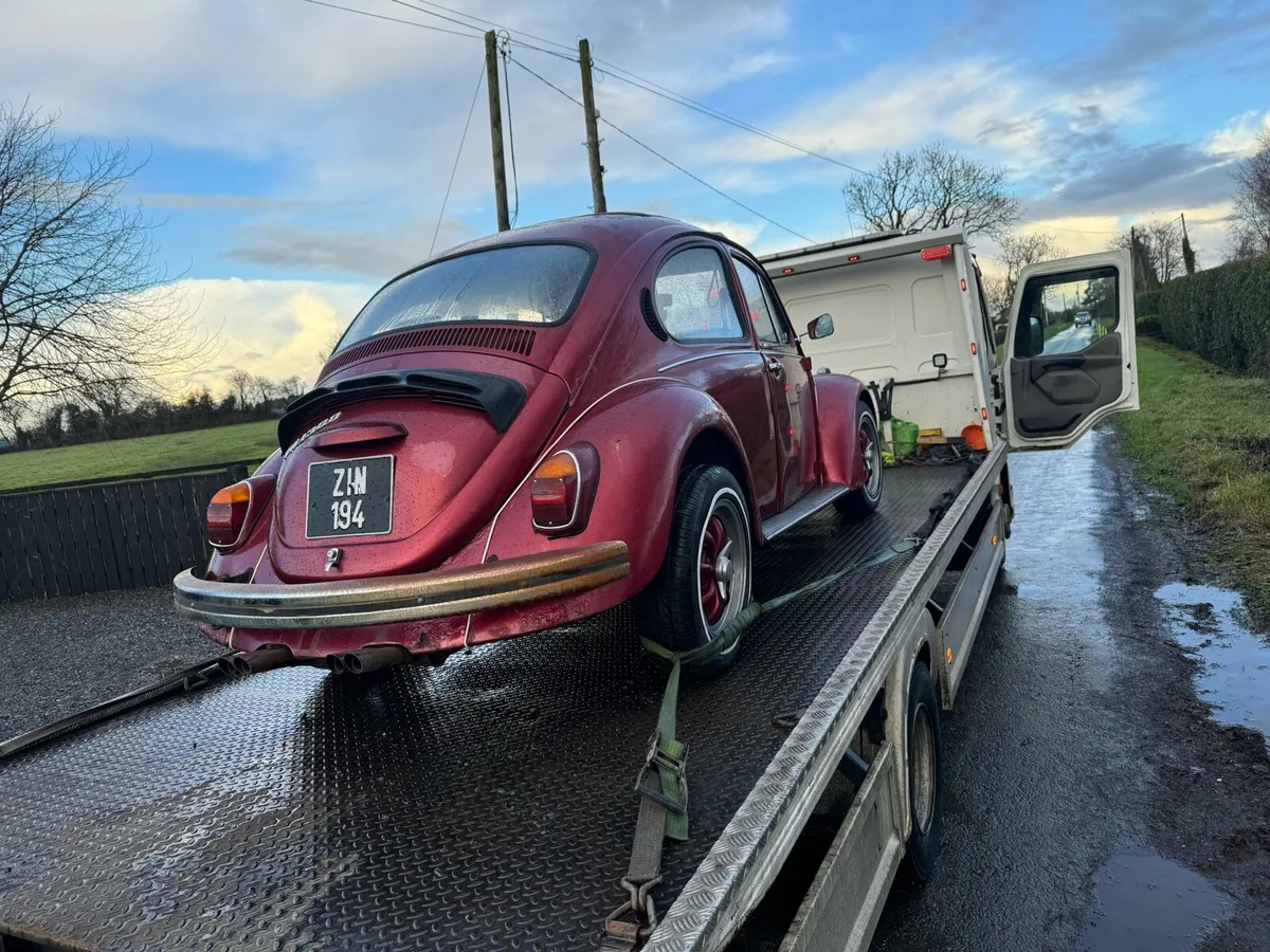 Volkswagen Beatle - Image 4