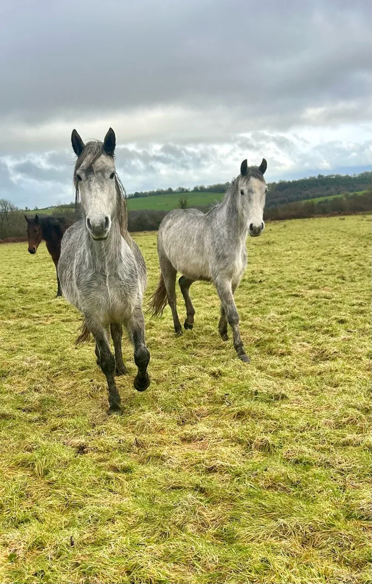 4 future stars 🌟 - Image 1