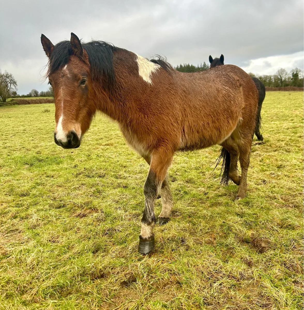 4 future stars 🌟 - Image 2