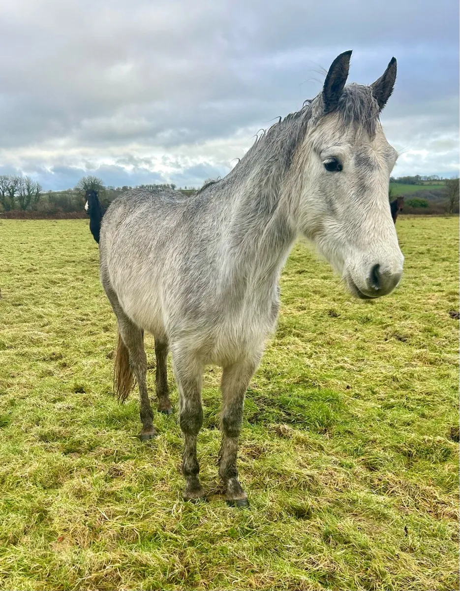 4 future stars 🌟 - Image 3