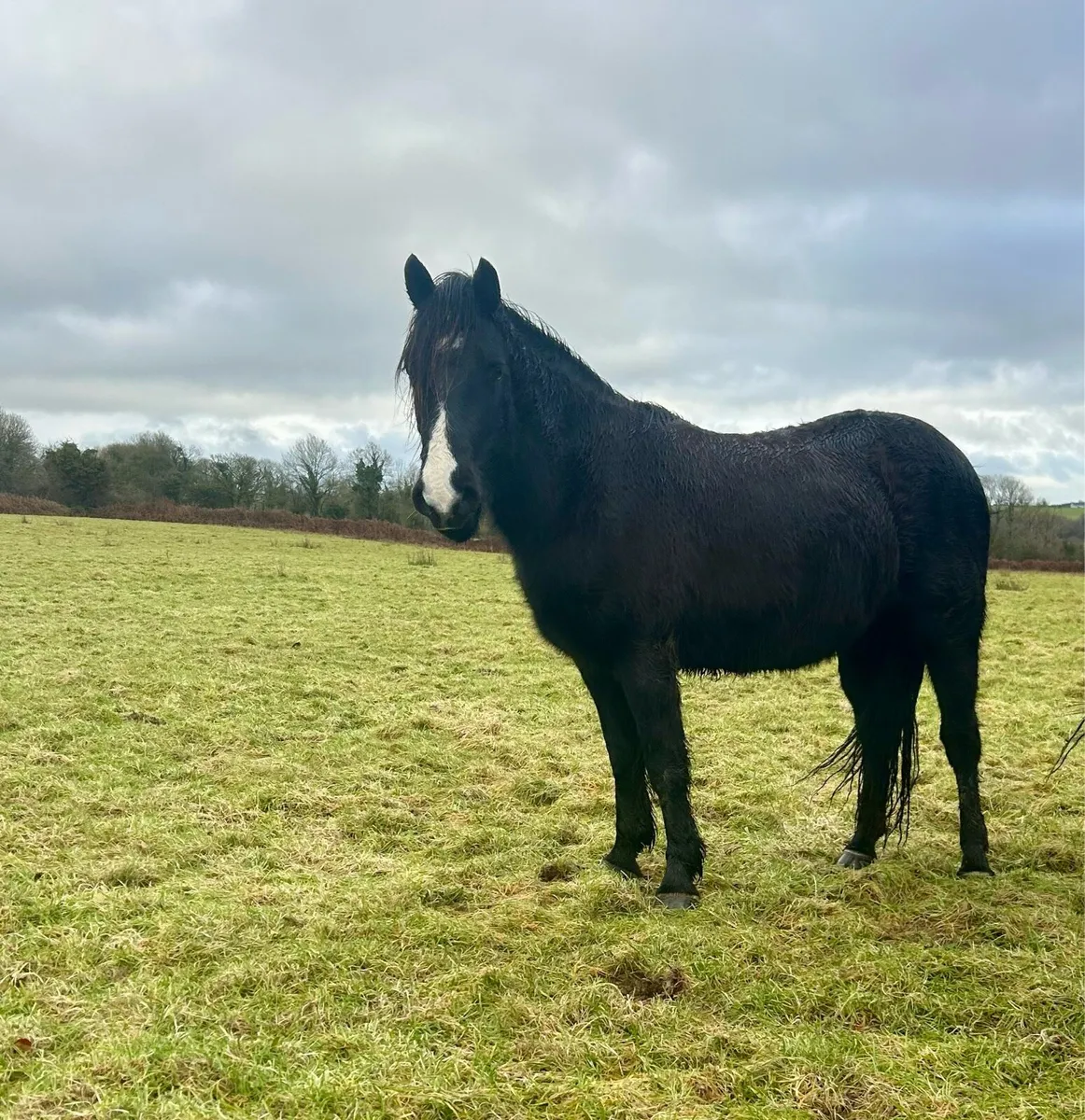 4 future stars 🌟 - Image 4