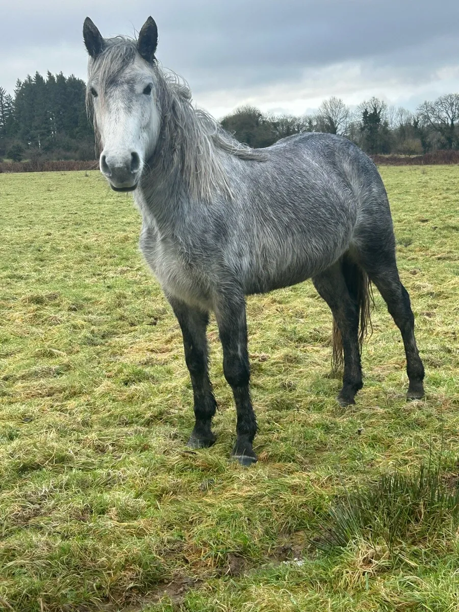 2 future stars 🌟 - Image 3