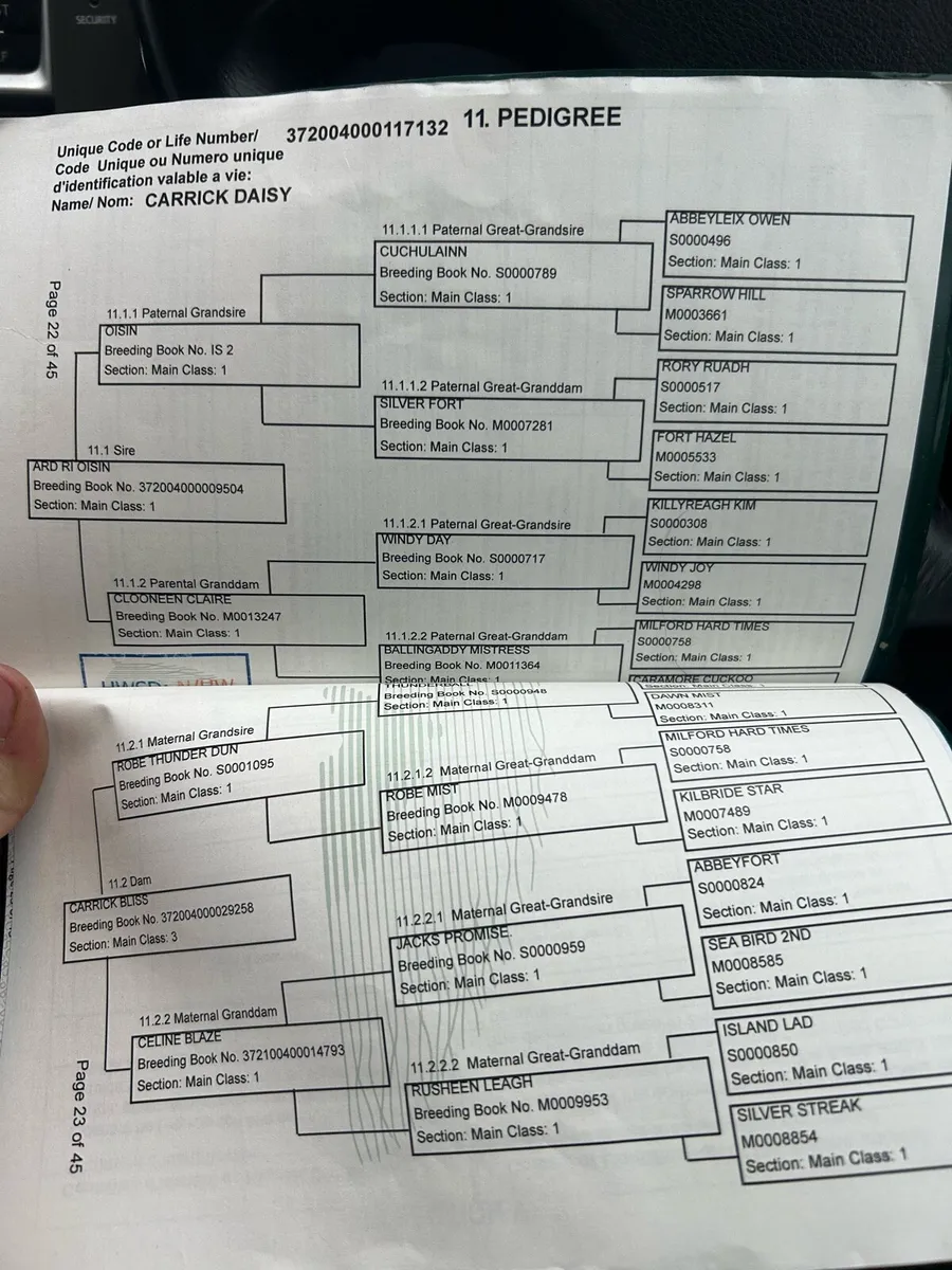 2 future stars 🌟 - Image 4