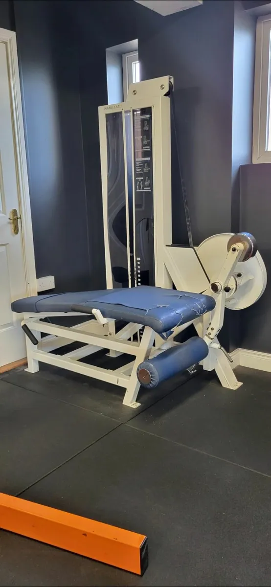 Pulse Lying Leg Curl / Leg extension - Image 1