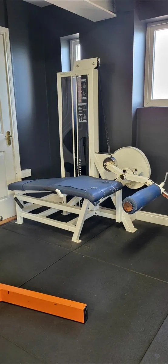 Pulse Lying Leg Curl / Leg extension - Image 2