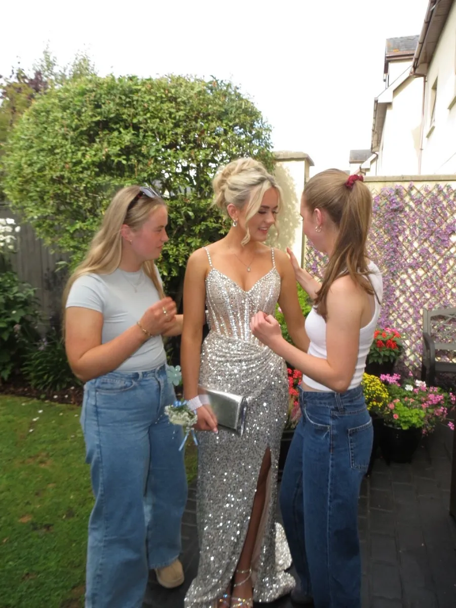 Danis closet debs dress - Image 1