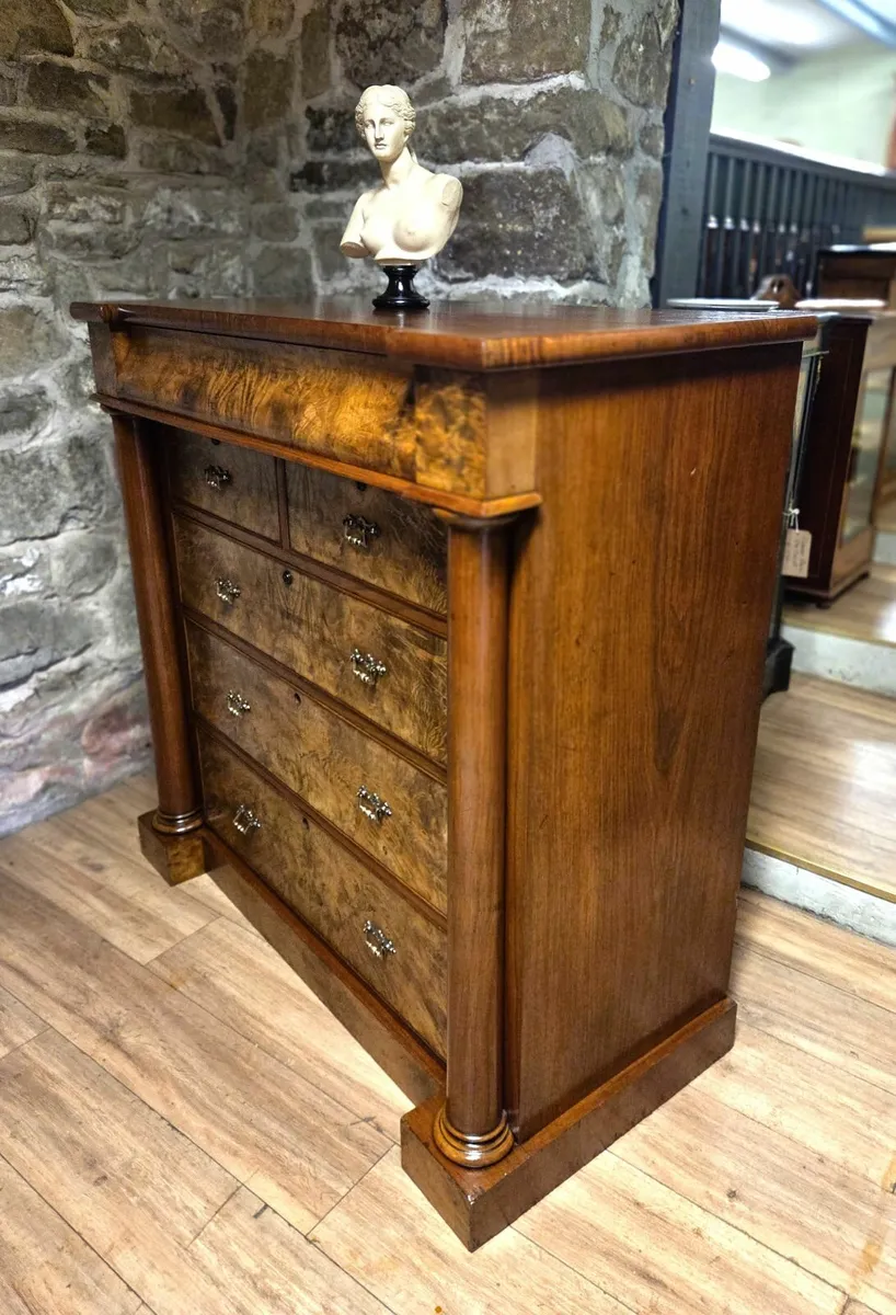 Large Victorian Burr Walnut Chest- Circa 1870 - Image 4