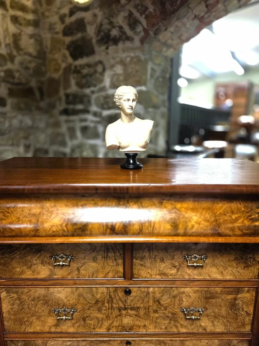Large Victorian Burr Walnut Chest- Circa 1870 - Image 3