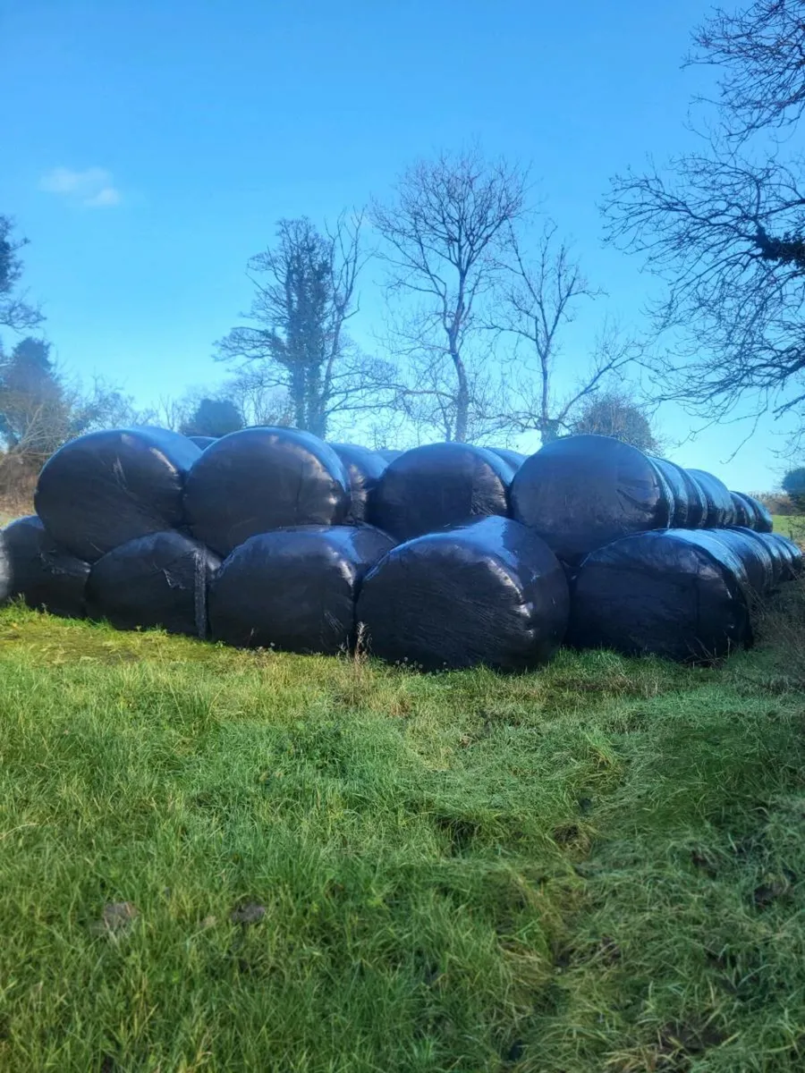 Round bales silage - Image 1