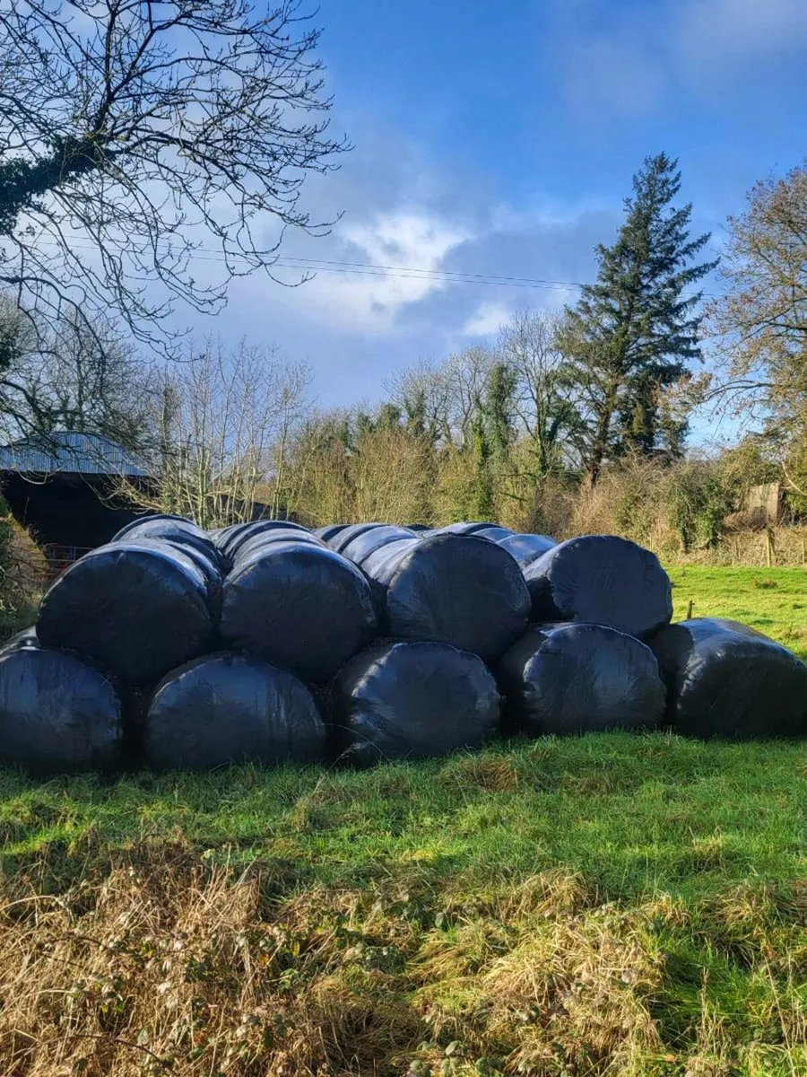 Round bales silage - Image 2