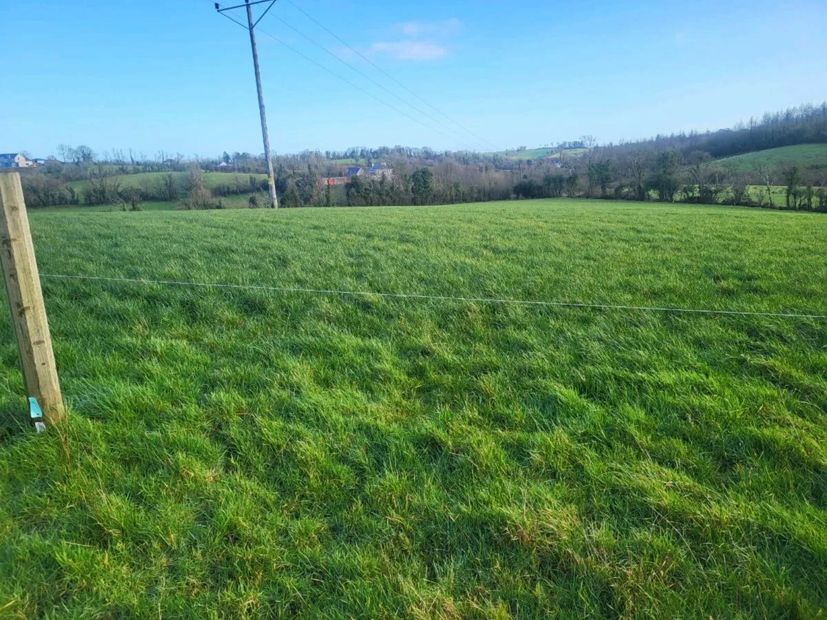 Round bales silage - Image 3