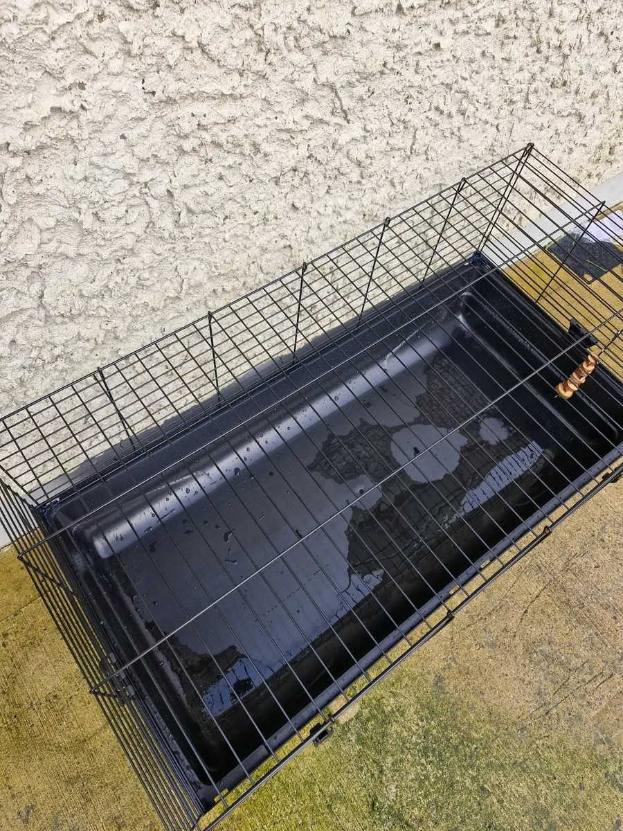 Guinea pig cage - Image 3