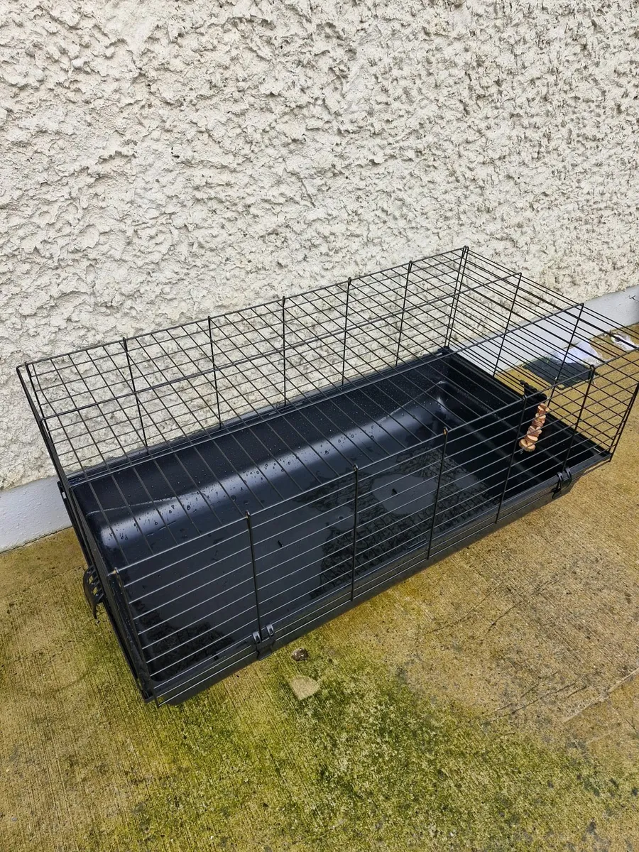 Guinea pig cage - Image 2