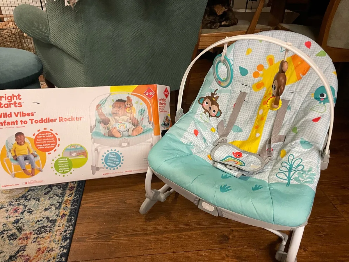 Baby bouncer/ rocker - Image 1