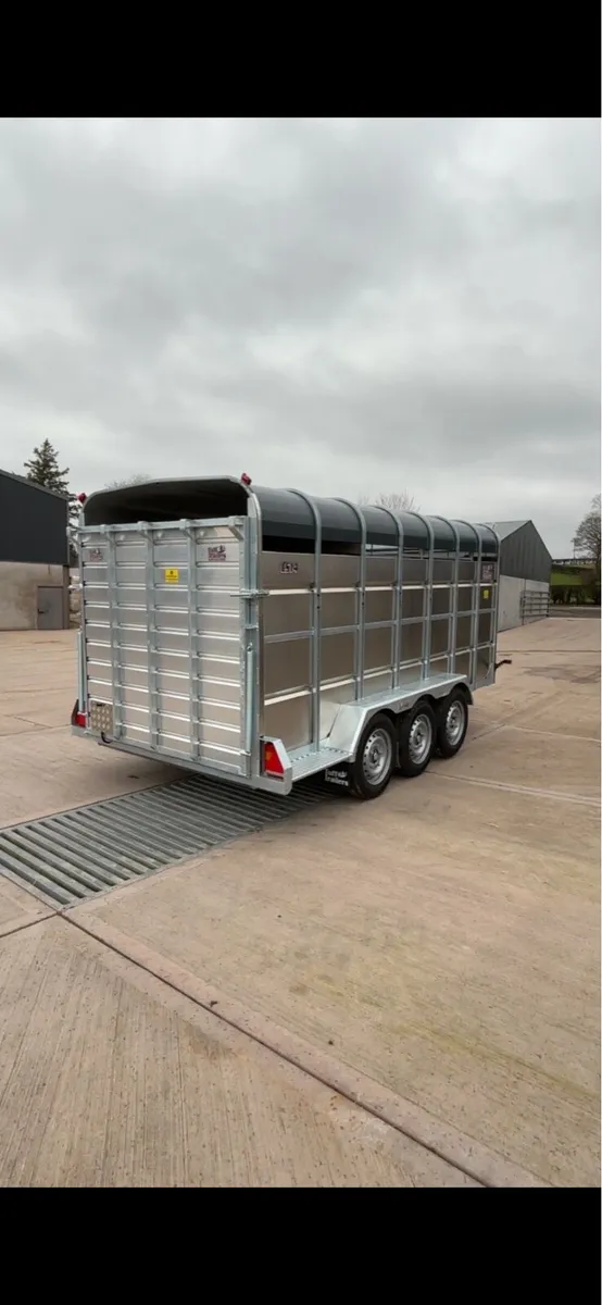 TuffMac 14x6 Livestock Trailer - Image 4