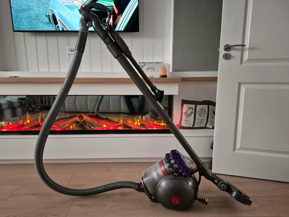 Dyson Big Ball Animal 2 - Image 1