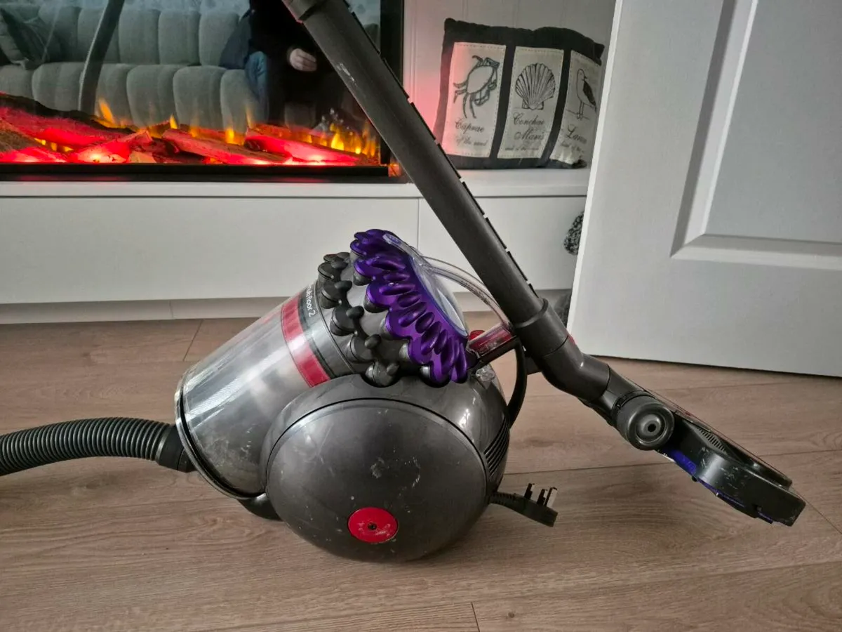 Dyson Big Ball Animal 2 - Image 2