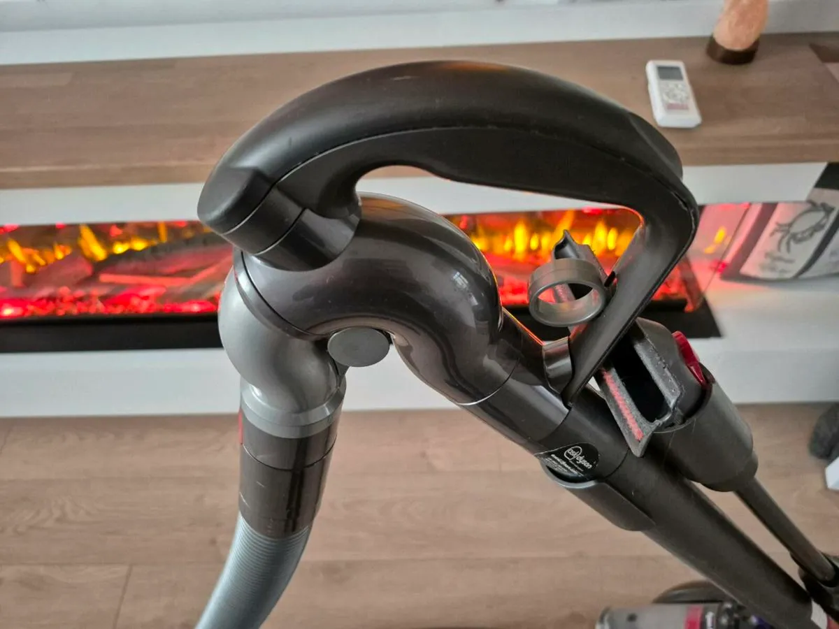 Dyson Big Ball Animal 2 - Image 4