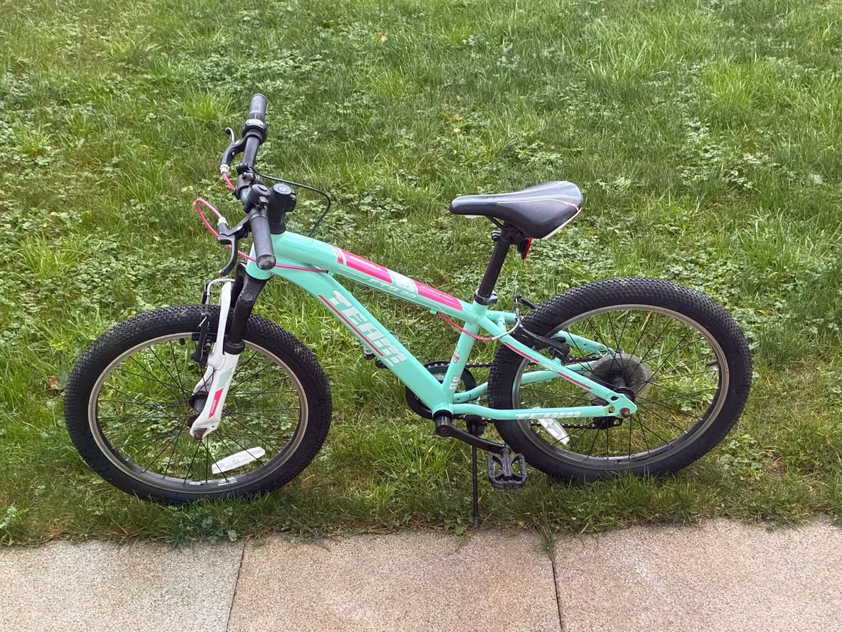 Team mountain bike 20 inch