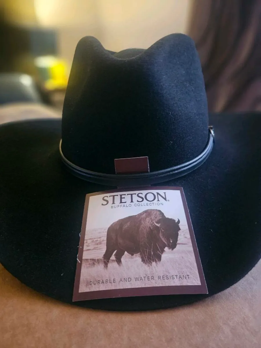 Stetson Seneca Black 4X Buffalo Wool Hat Size 7 - Image 2