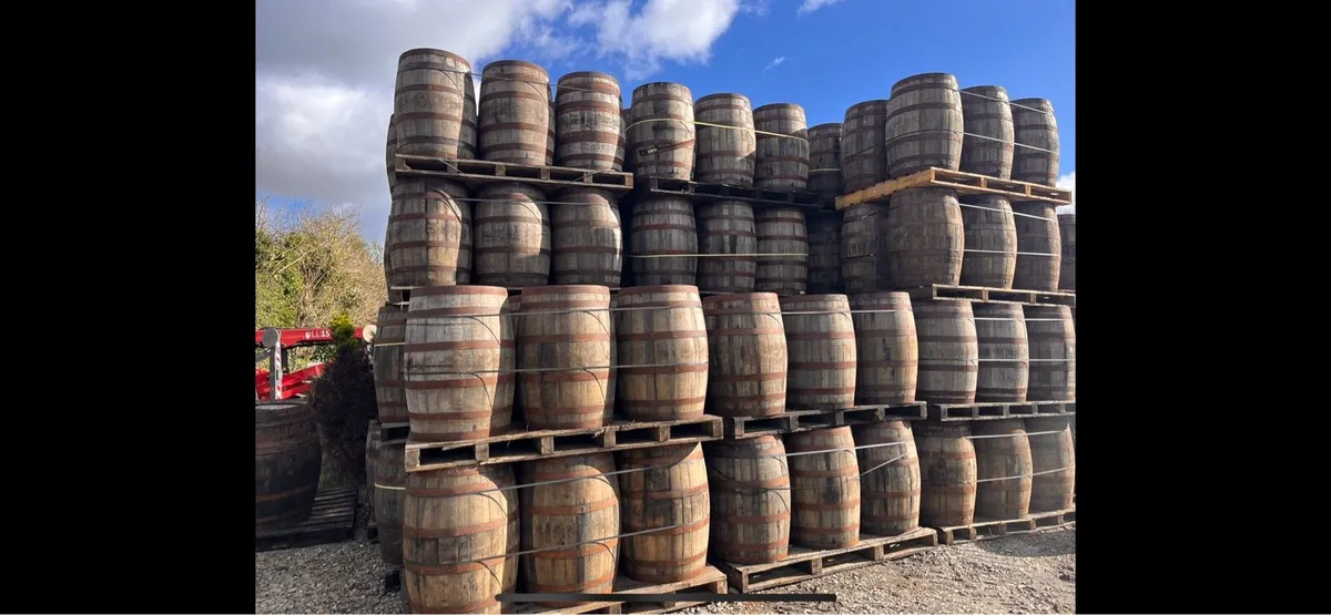 Oak Whiskey barrels - Image 1