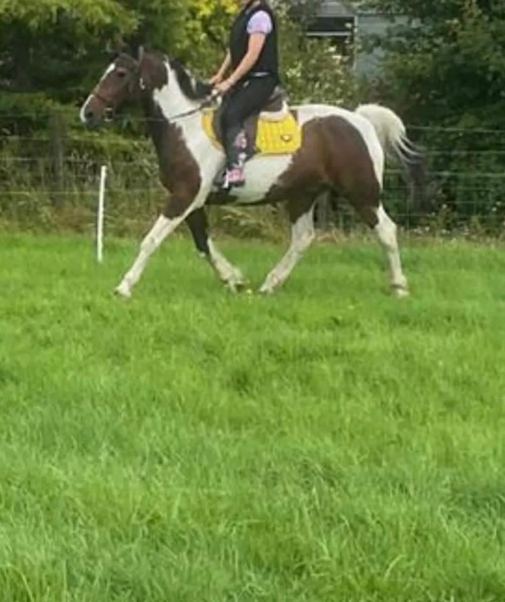 Perfect happy hacker - Image 2