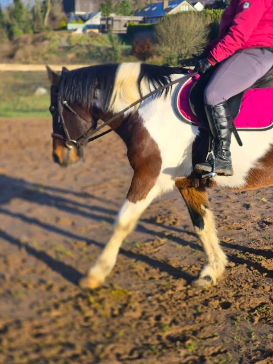 Perfect happy hacker - Image 4