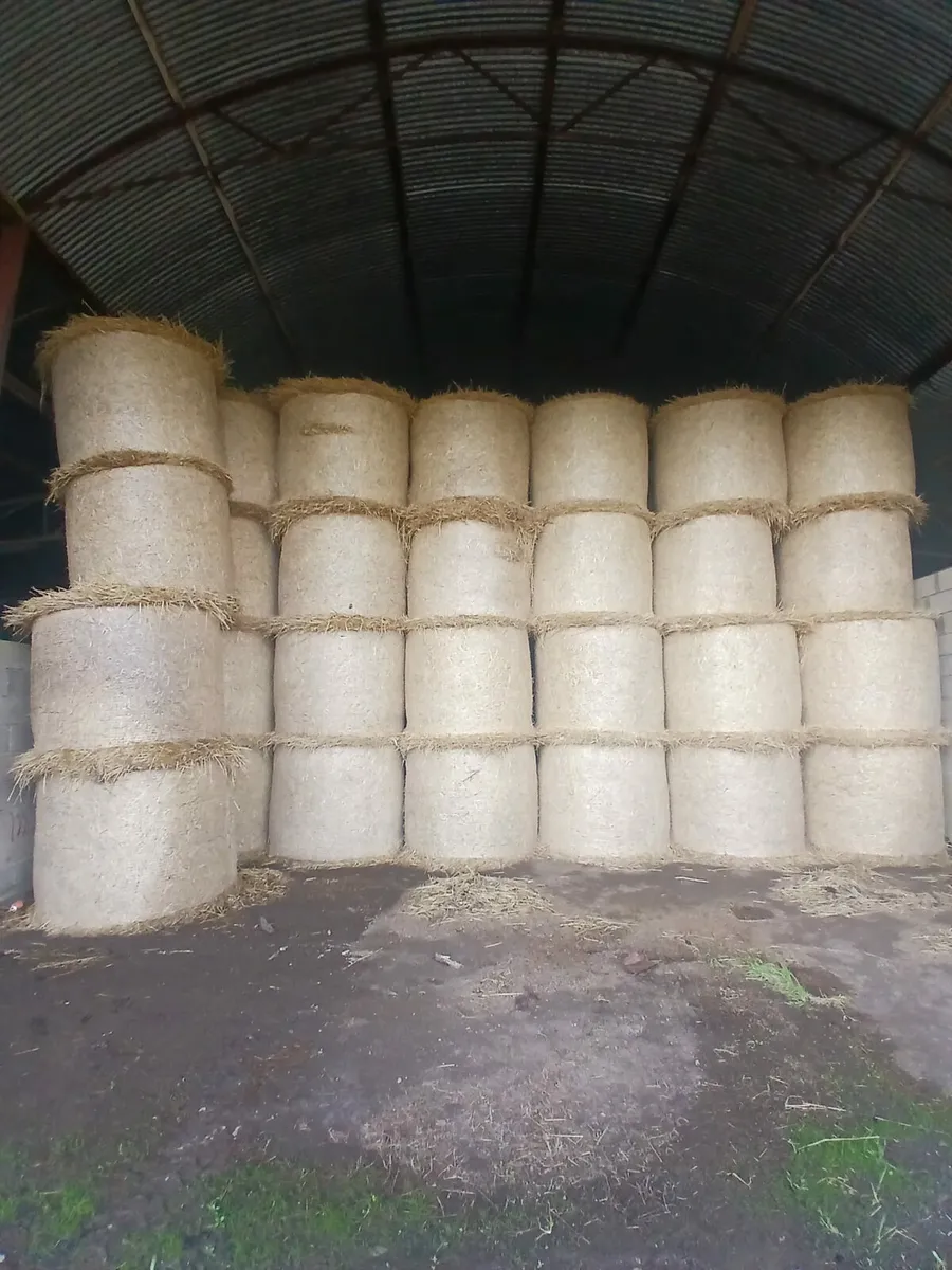 Barley Atraq - Image 1