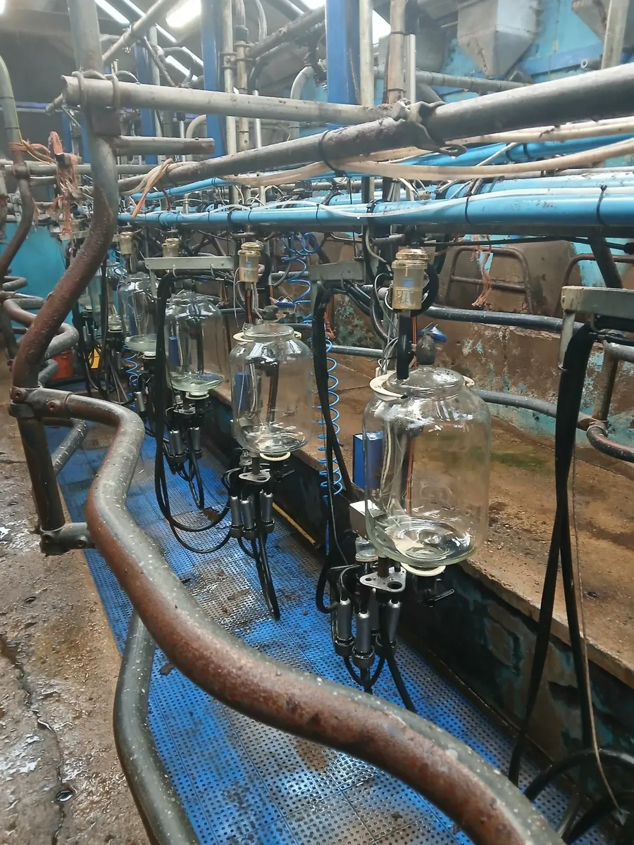 MILKING PARLOUR - Image 1