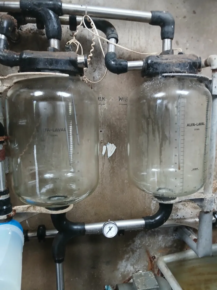 MILKING PARLOUR - Image 4
