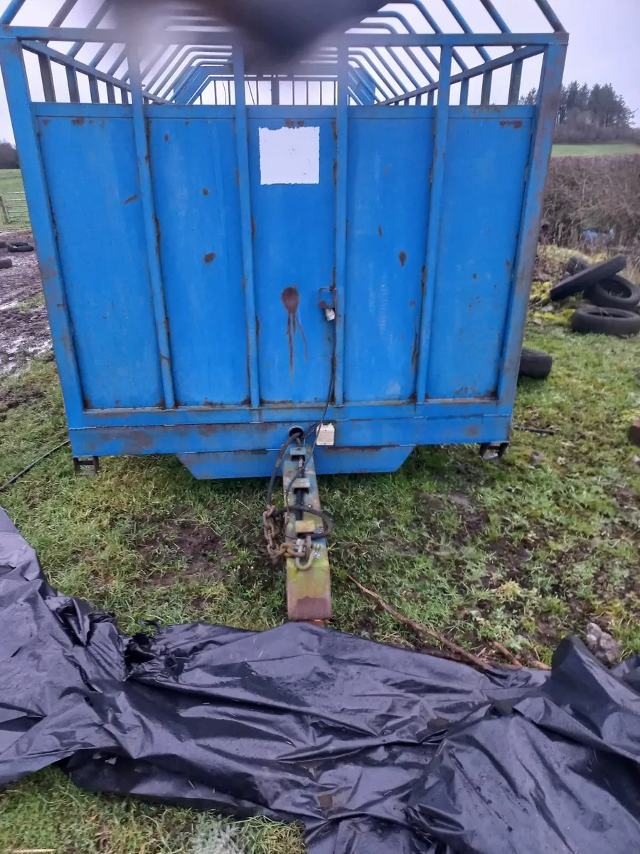 Bluemount cattle trailer - Image 2