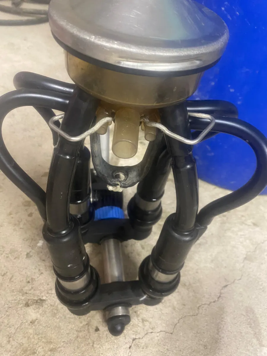 milking parlour - Image 4