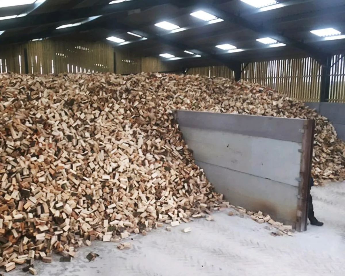 Hardwood logs - Image 1