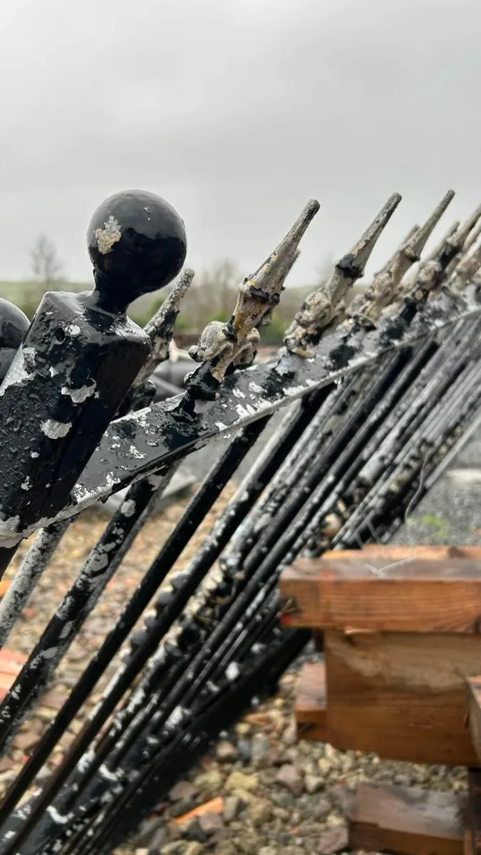 Decorative Galvanized Steel Gates - Image 1