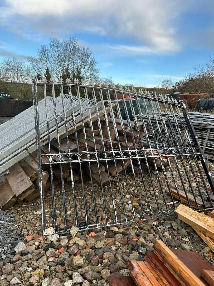 Decorative Galvanized Steel Gates - Image 2