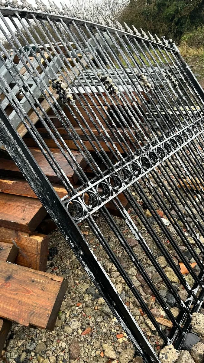 Decorative Galvanized Steel Gates - Image 4