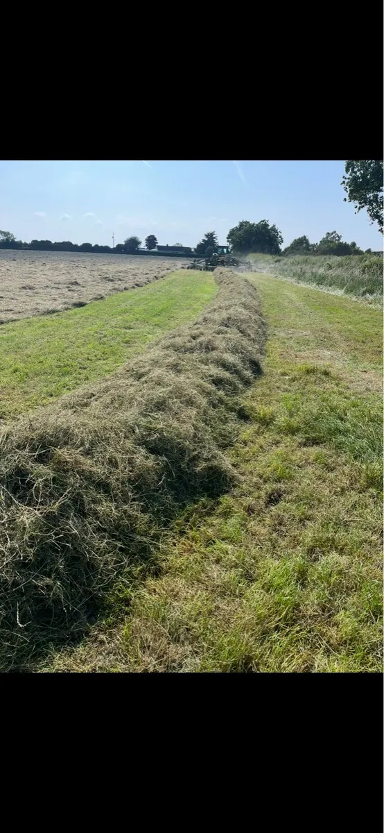 Hay,haylage and silage