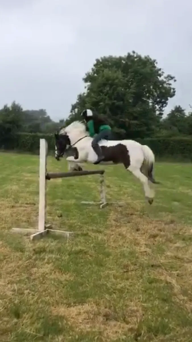 Bombproof sports cob - Image 2