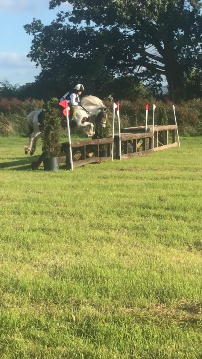 Bombproof sports cob - Image 4