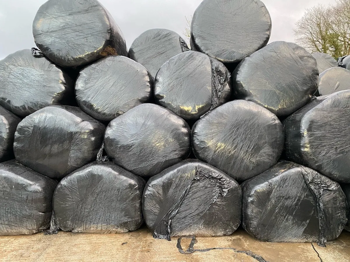 Silage and hay - Image 1