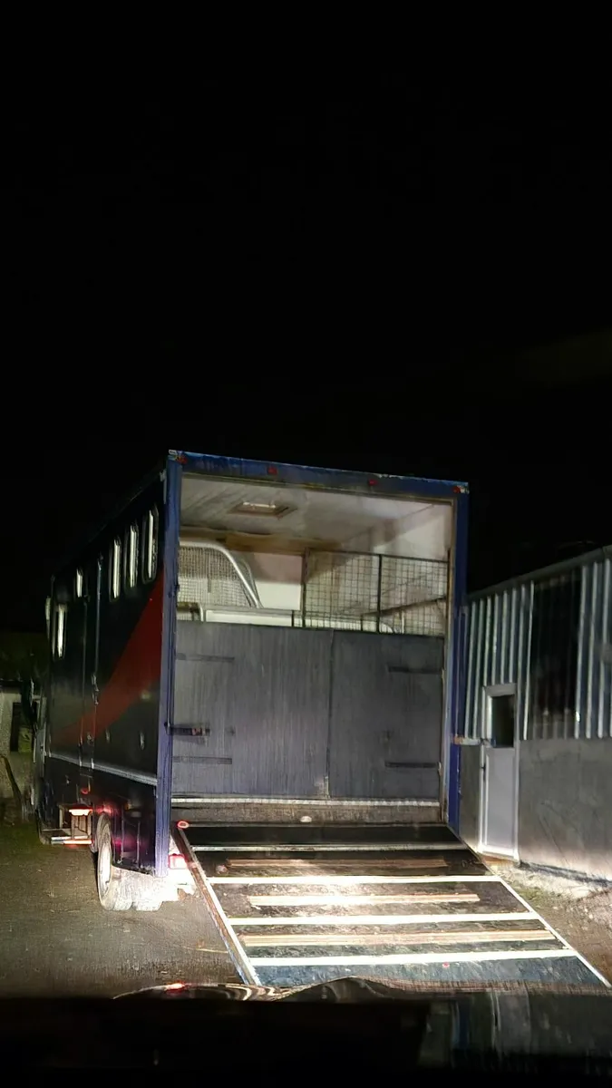 Horse lorry - Image 2