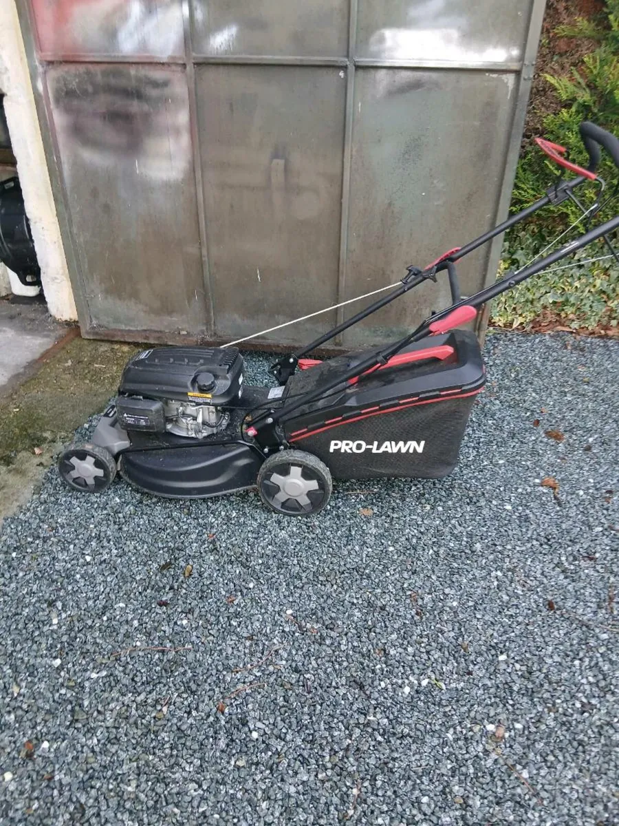 New self drive - Image 3