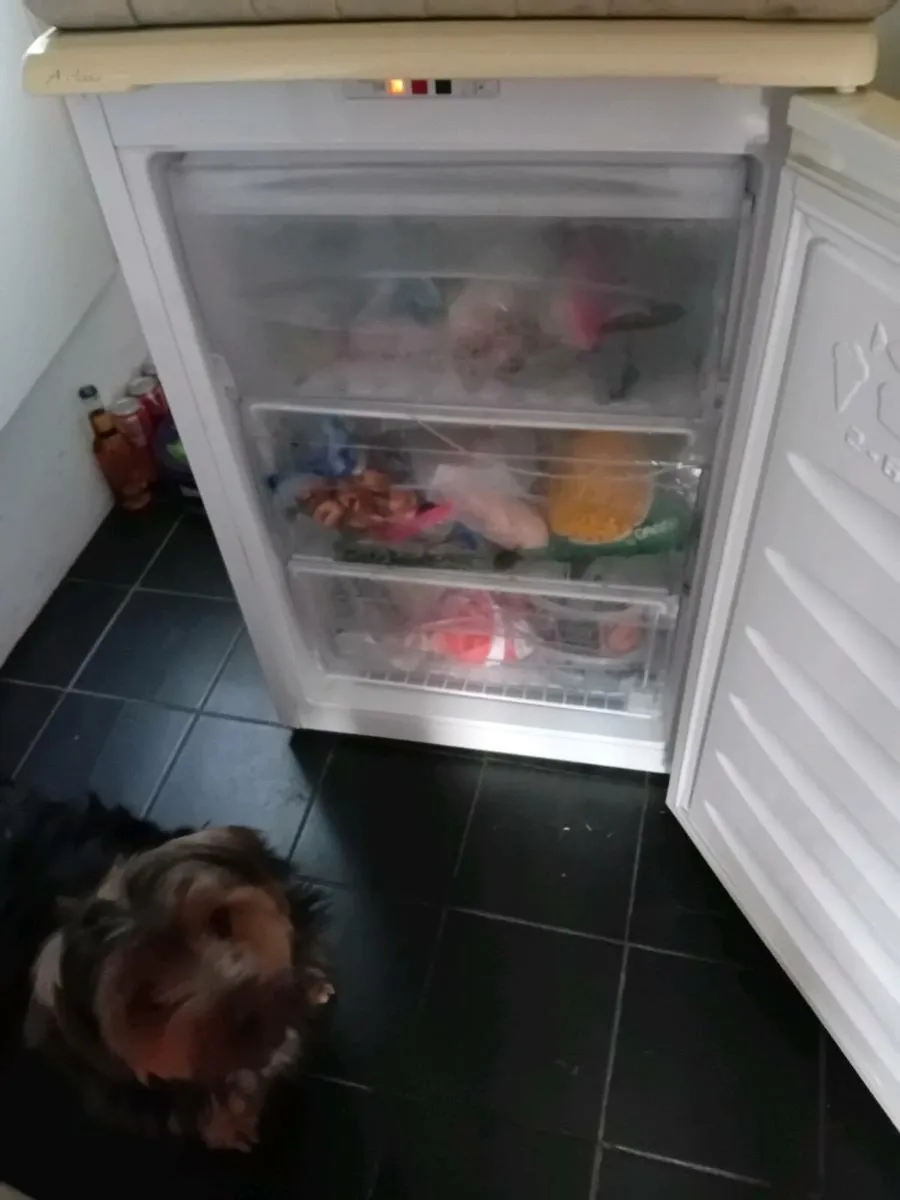 Beko under counter freezer - Image 1