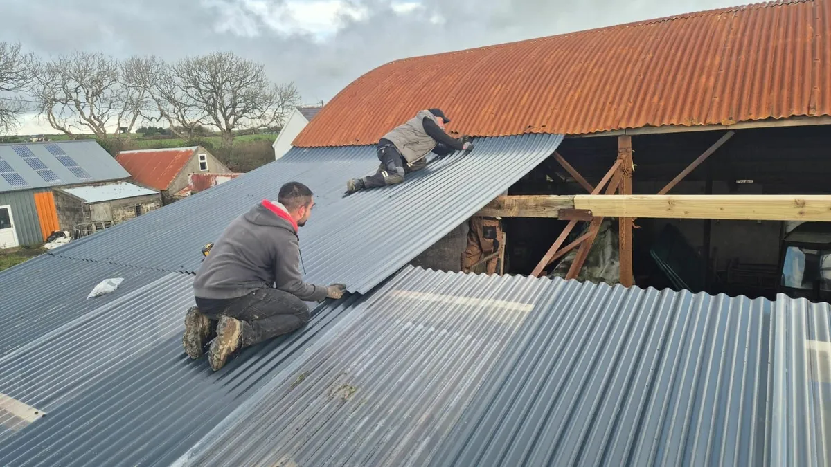 Munster Farm Shed Repairs - Image 1