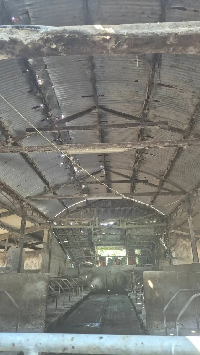 Munster Farm Shed Repairs - Image 3